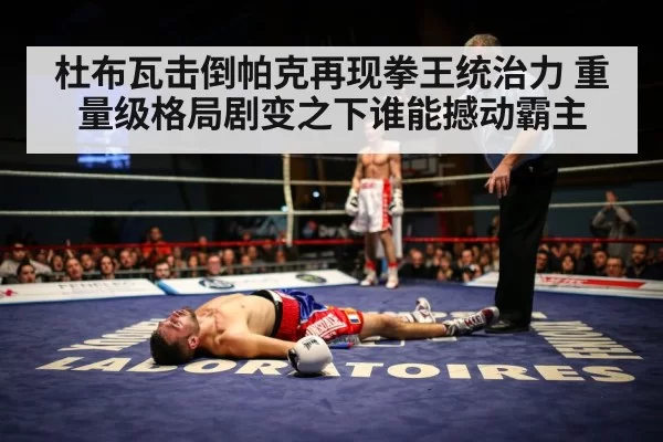 杜布瓦击倒帕克再现拳王统治力 重量级格局剧变之下谁能撼动霸主（hth）