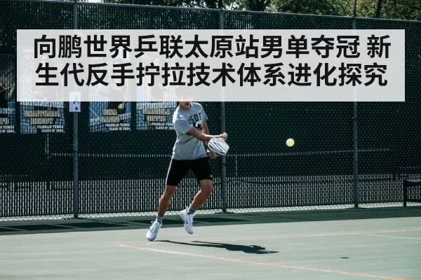 向鹏世界乒联太原站男单夺冠 新生代反手拧拉技术体系进化探究